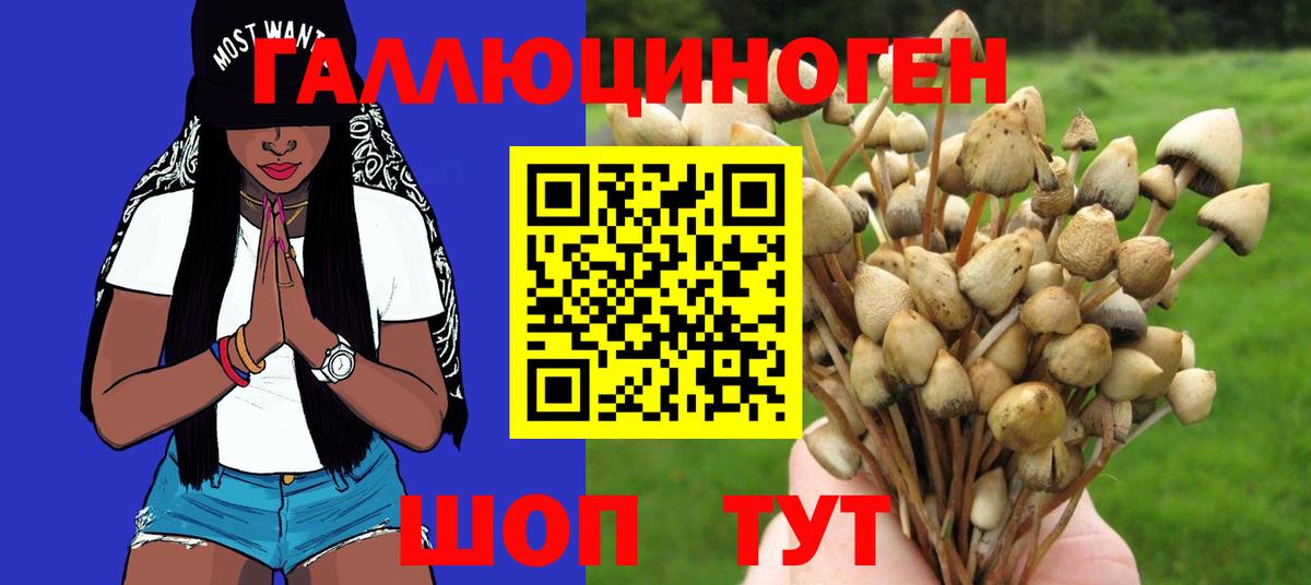 Добрянка  Галлюциногенные грибы GOLDEN TEACHER  Вход с VPN 